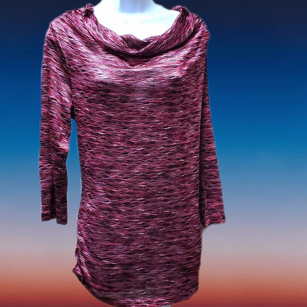 Cato's Cowl Neck Long Sleeves Knit Tunic